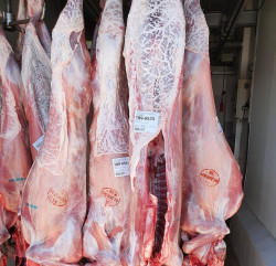 Viande de chèvre Aix-en-Provence